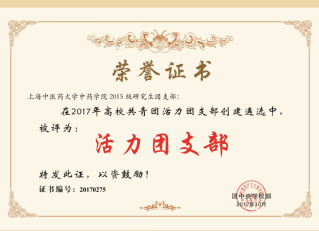 201710全国活力团支部-上...