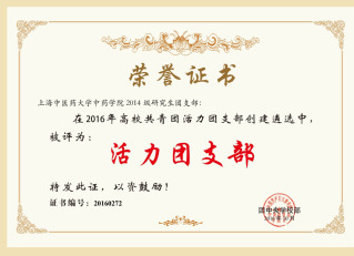 201610全国活力团支部-上...